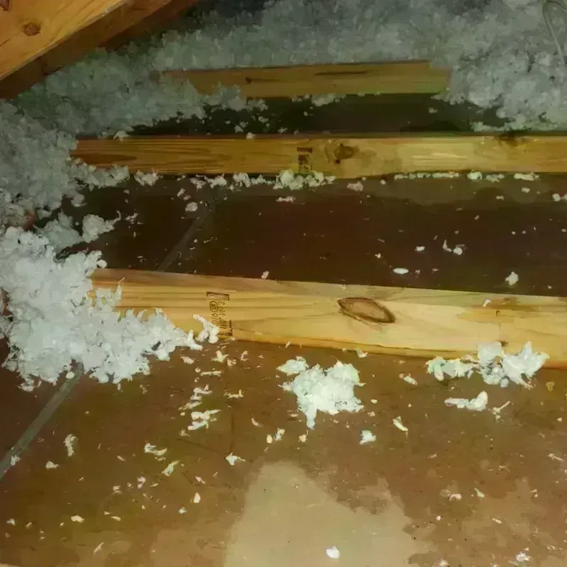 Attic Water Damage in Gilbert, MN