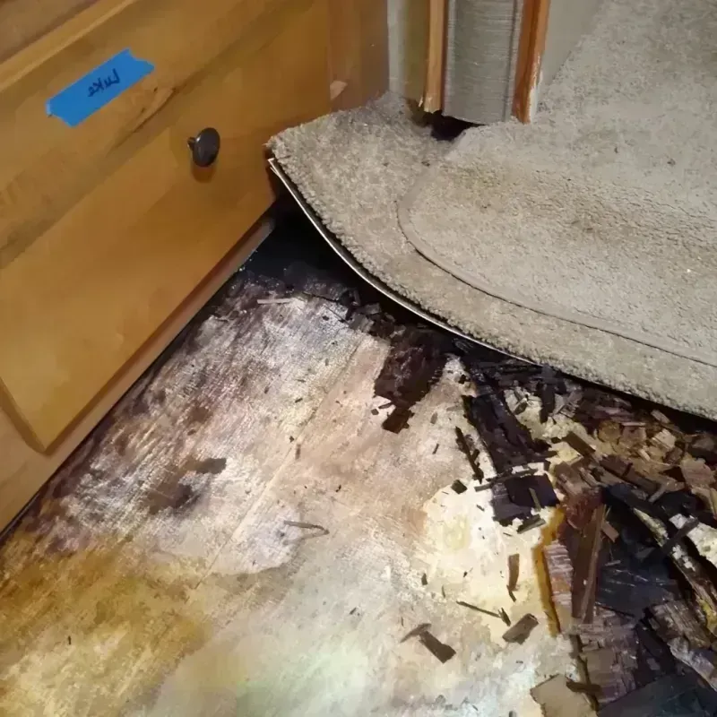 Wood Floor Water Damage in Gilbert, MN